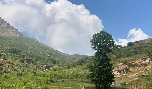 Land with New house in Tannourine el Fawka تنورين | Mountain view