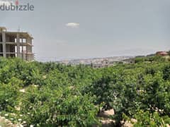 zahle