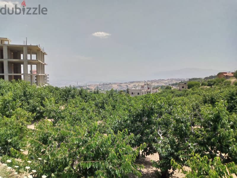 zahle wadi el arayesh land 2900 sqm for sale panoramic view Ref#5981 0