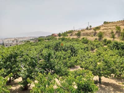 zahle wadi el arayesh land 2900 sqm for sale panoramic view Ref#5981