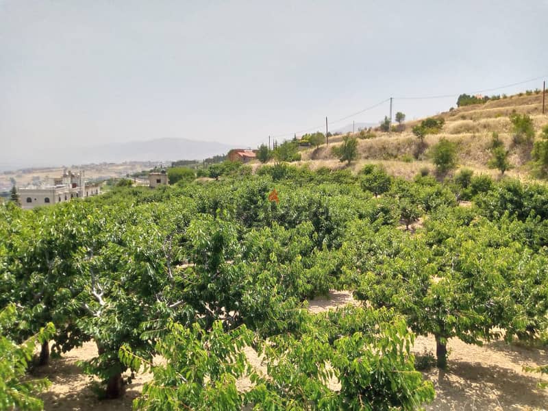 zahle wadi el arayesh land 2900 sqm for sale panoramic view Ref#5981 1