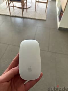 apple mouse