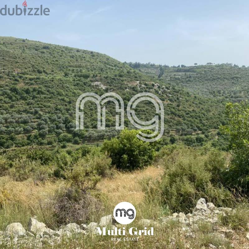 JC-4279 / Land for Sale in Jezzine, أرض للبيع في جزين 1