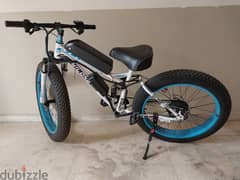 Electric Bike