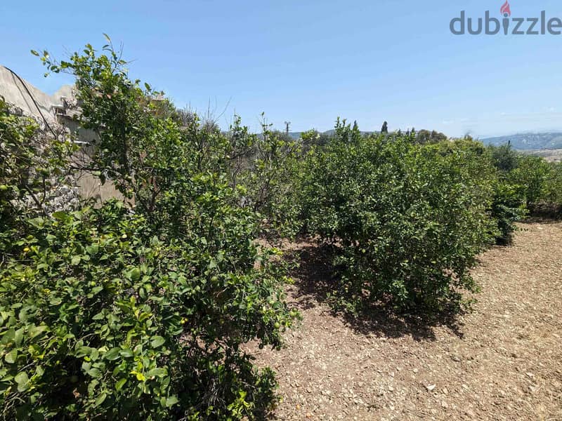 Land In Chikhane For Sale | 1058 SQM | أرض للبيع | PLS 26050 2