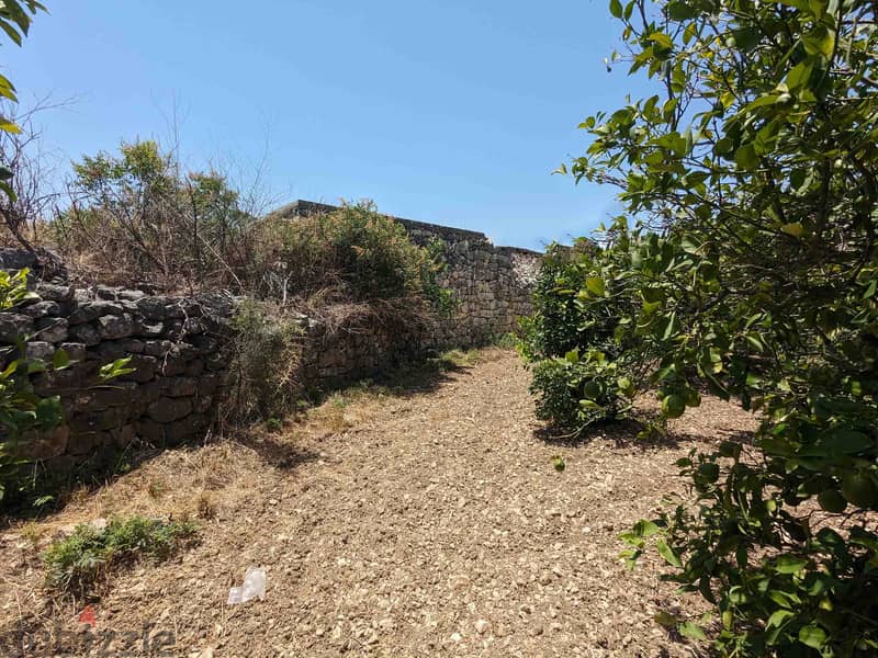 Land In Chikhane For Sale | 1058 SQM | أرض للبيع | PLS 26050 7