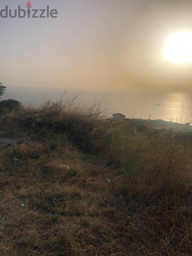 Land for sale in Batroun ارض للبيع في بترون 0