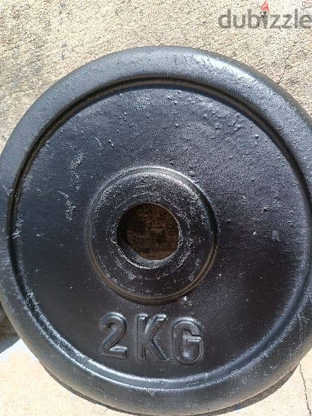 body building weights 3