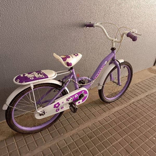 bicycle 1