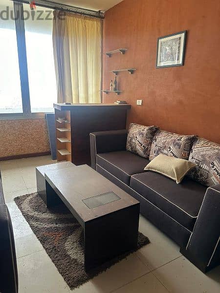 faraya furnished chaleh 1 bed for rent 250$ negotiable 2