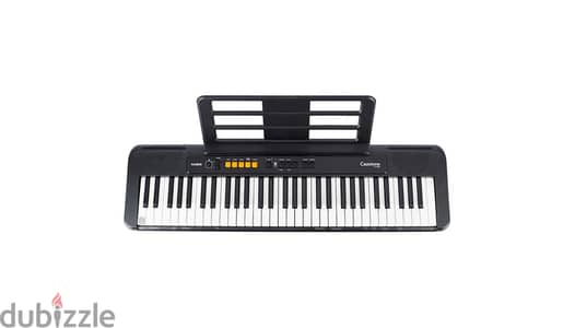 Casio CT-S100 Casiotone Keyboard (Digital Piano & ORG)