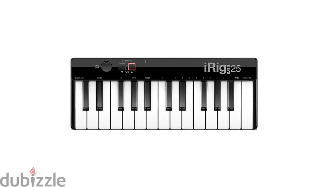 iK Multimedia iRig Keys 25 0