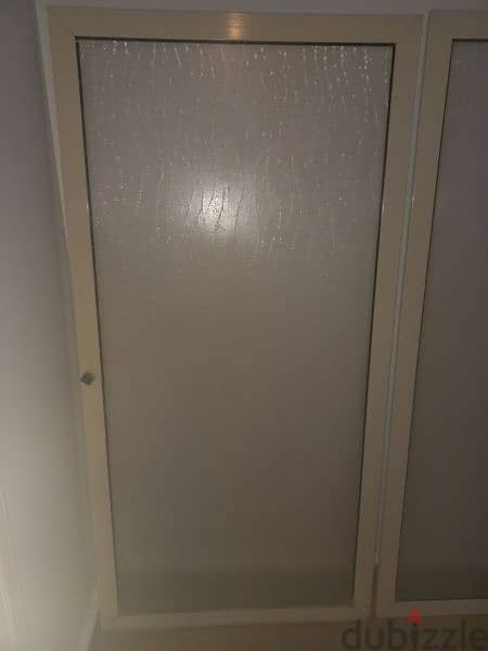 shower Door 2