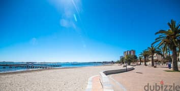 Spain Murcia get your residence visa! furnished apartment MSR-DDP31 0