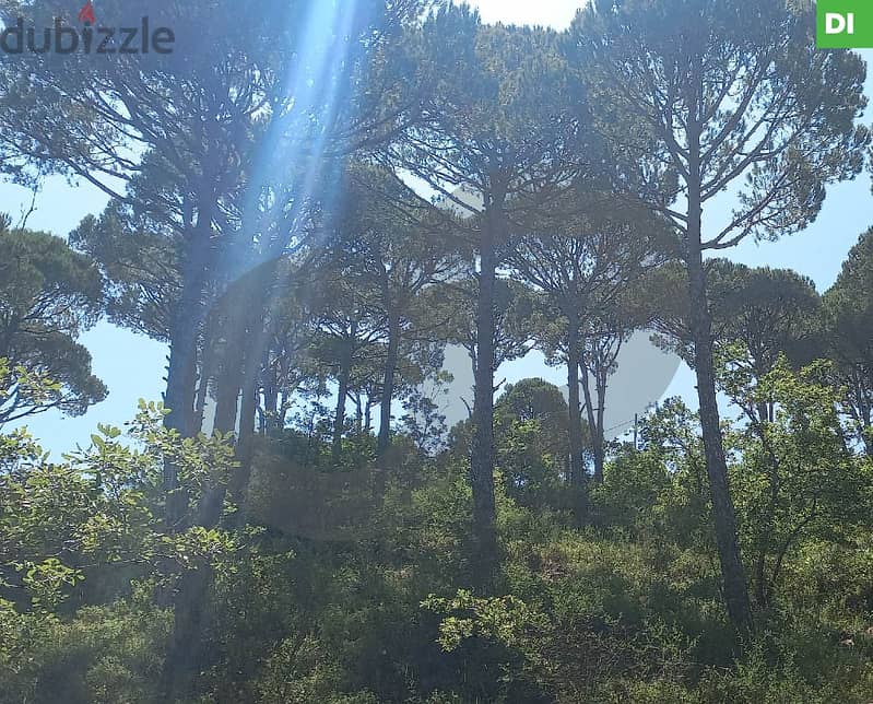 2755 SQM Land for Sale in Sniyeh - Jezzine / سنيا - جزين REF#DI108106 0