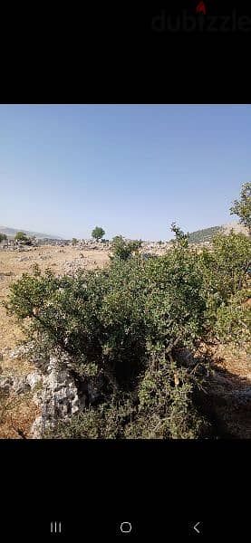 ارض للبيع في راشيا الوادي land for sale in rashaya 4