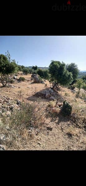 ارض للبيع في راشيا الوادي land for sale in rashaya 9