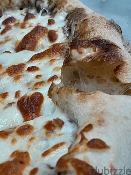 pizza master and traditional bread and dough consultancy  03827471 1