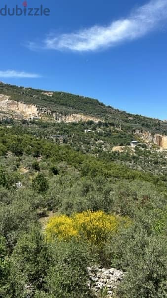 land in Batroun area ارض رائعة قضاء البترون منطقة حدتون 3