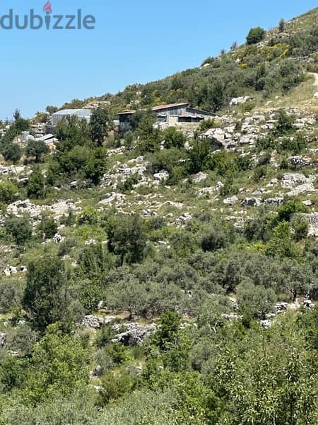 land in Batroun area ارض رائعة قضاء البترون منطقة حدتون 6