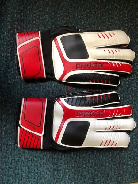 goalkeeper gloves 1