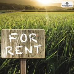 Land for Rent in Naccache ارض للايجار في النقاش 0