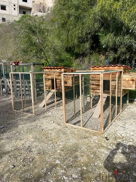 Birds, Rabbits, and Chicken Cages اقفاص دجاج وحمام وارانب 15