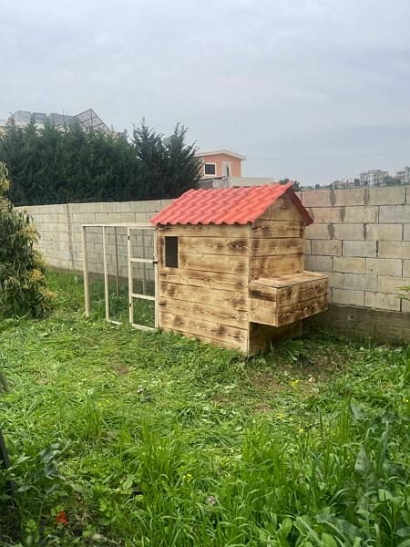 Birds, Rabbits, and Chicken Cages اقفاص دجاج وحمام وارانب 16