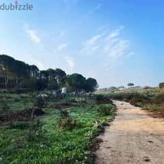 Land for Sale in Koura,  أرض للبيع في الكورة 0