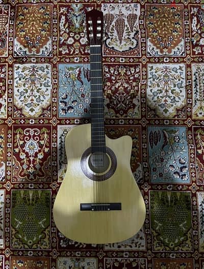 Acoustic Guitae