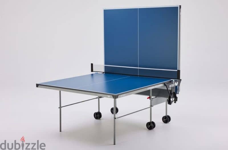 Butterfly Ping Pong Table 0