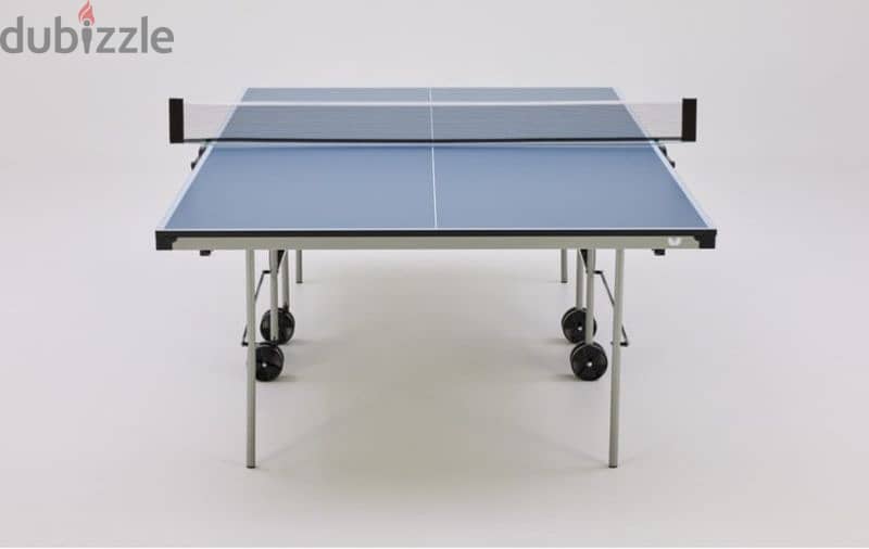 Butterfly Ping Pong Table 1