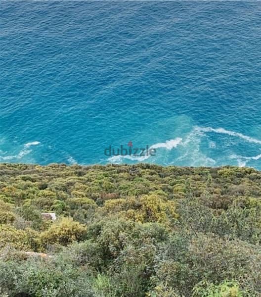 60,000m 7PlotsSell Land Seaside villa zone 20/40 Hamat Salaata Batroun 0