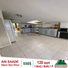 550$!! Fully Furnished Apartment for rent in Ain Saadeh 0