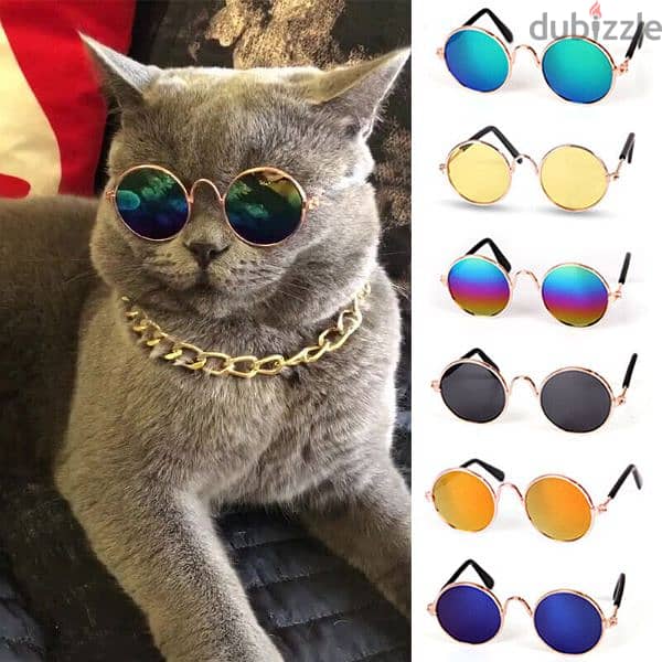 sunglasses for cats 0