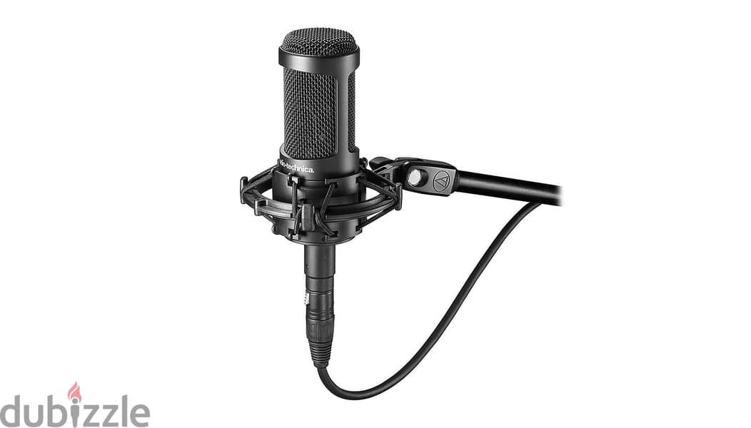 Audio-Technica AT-2050 Condenser Microphone 1