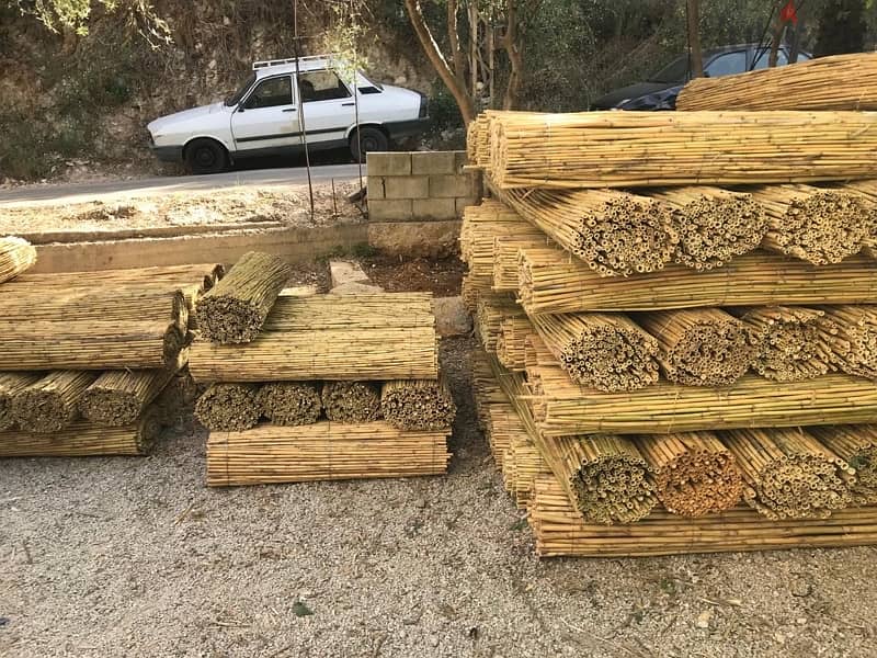 قصب للخيم و للزينة في بيروت)bamboo rolls in beirut 16