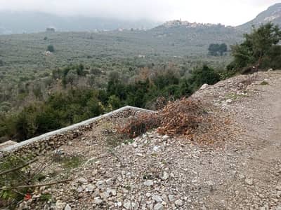 land for sale in douma 65k. ارض للبيع في دوما ٦٥،٠٠٠$