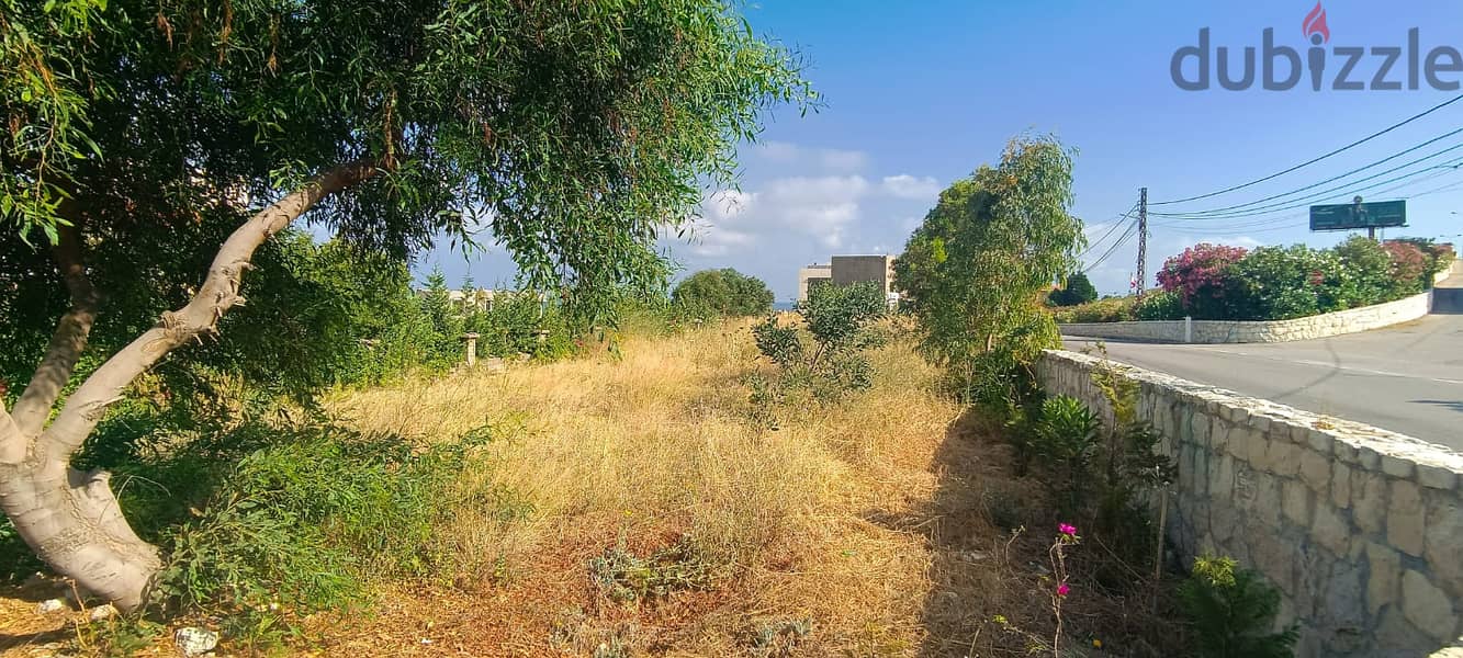 L15527-1,000 SQM Land for Rent In Barbara 1