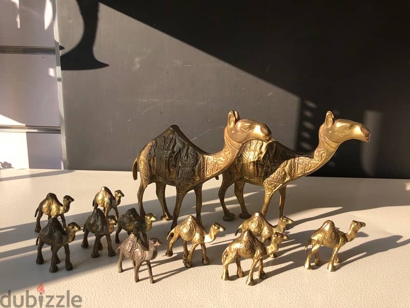 12 peices of copper camels 0