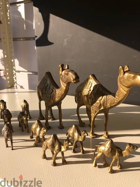 12 peices of copper camels 1