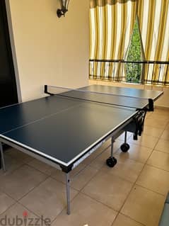 Butterfly Table tennis Indoor (Made in Germany)