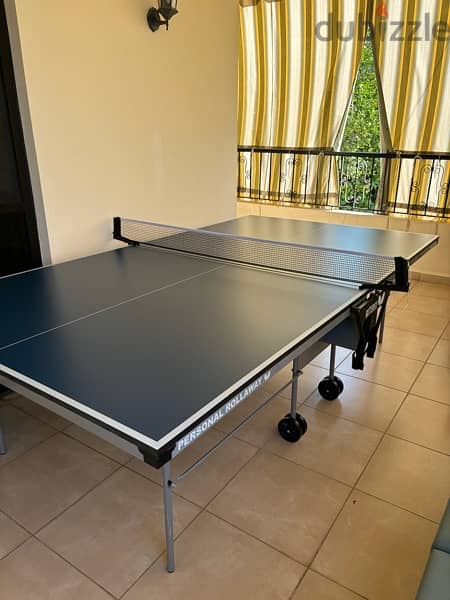 Butterfly Table tennis Indoor (Made in Germany) 1