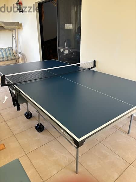 Butterfly Table tennis Indoor (Made in Germany) 2