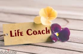 life coach 0