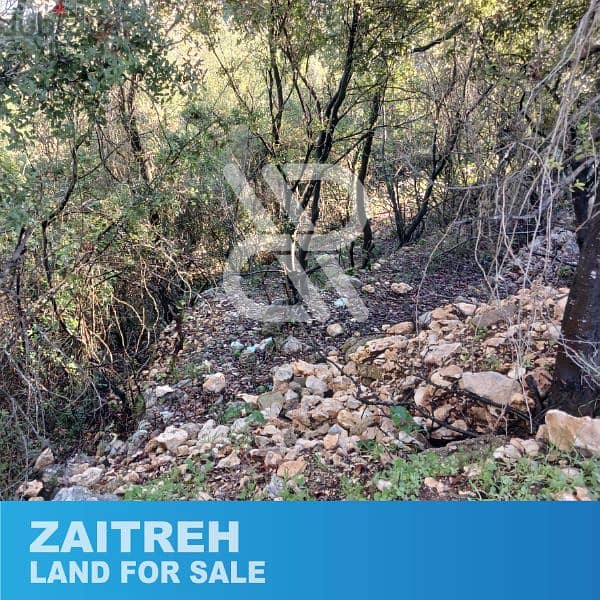 Land for sale in Zaitreh - أرض للبيع في زعيترة 1