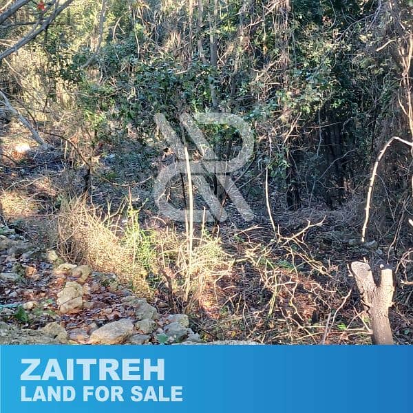 Land for sale in Zaitreh - أرض للبيع في زعيترة 2