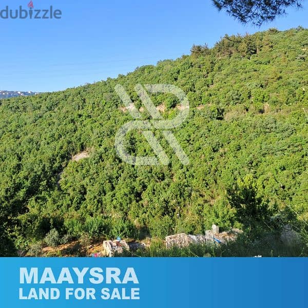 Land for sale in Maaysra - أرض للبيع في المعيصرة 1