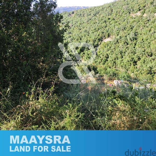 Land for sale in Maaysra - أرض للبيع في المعيصرة 2