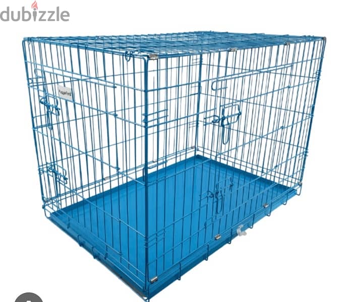Pomeranian spitz + 2 cage 1